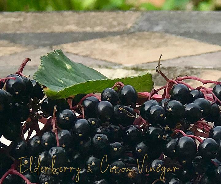 Elderberry Cocoa Vinegar